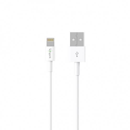 Lityus Wall Car Charger Single USB 2.4A Lightning Cable White