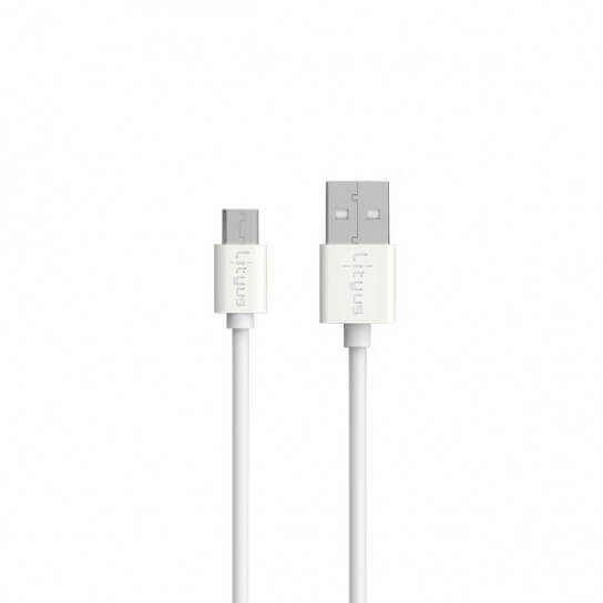 Lityus Wall Car Charger Single USB 2.4A Micro Cable White